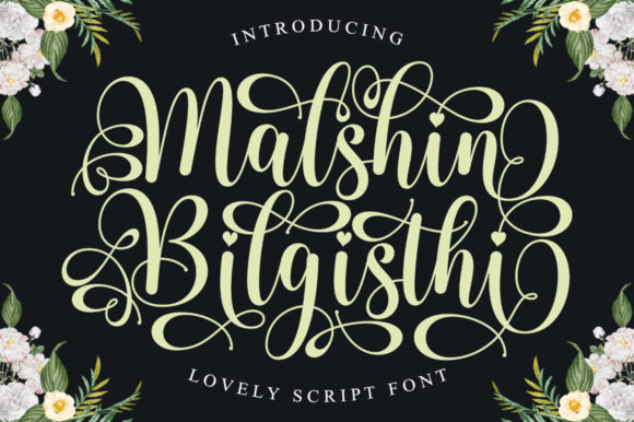 Malshin Bilgisthi Font
