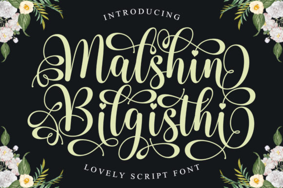 Malshin Bilgisthi Font Poster 1