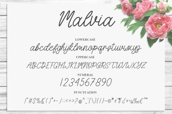 Malvia Font Poster 6