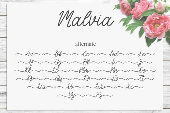 Malvia Font Poster 7