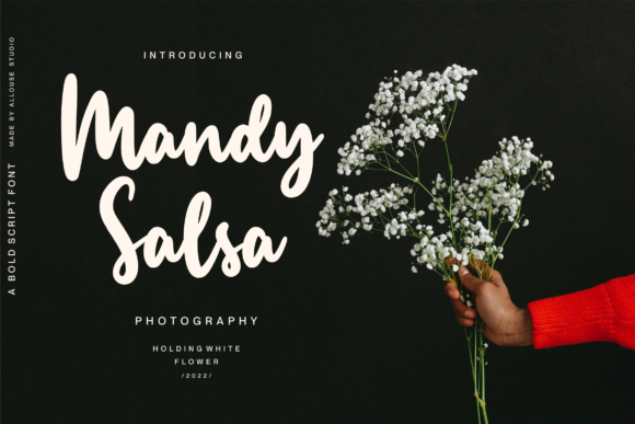 Manlyscript Font Poster 7