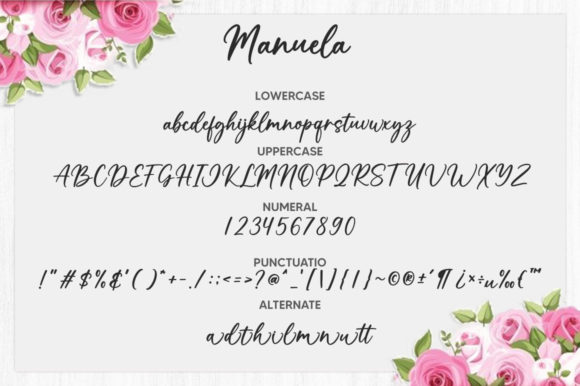 Manuela Font Poster 6