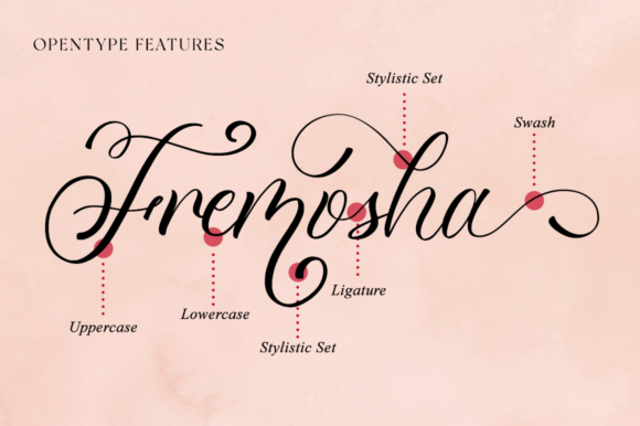 Mariposa Font Poster 9