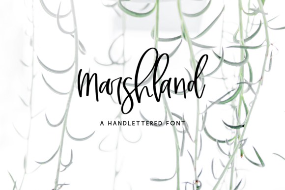 Marshland Script Font Poster 1