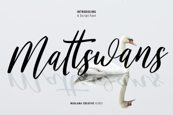 Mattswans Script Font Poster 1