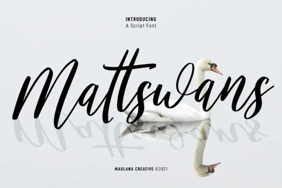 Mattswans Script Font Mattswans Script Font Poster 1