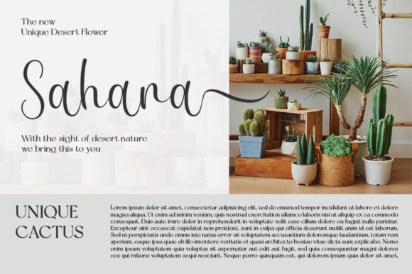Mayumi Font Poster 8