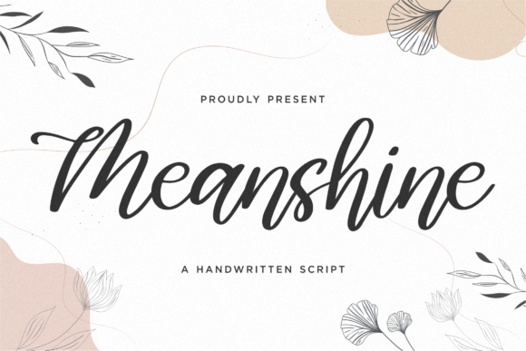 Meanshine Font Poster 1