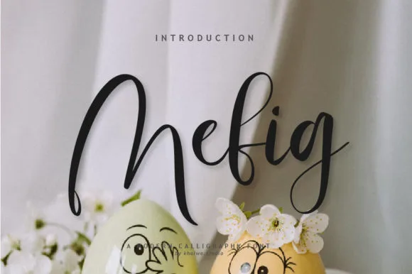 Mefig Script Font Mefig Script Font Poster 1