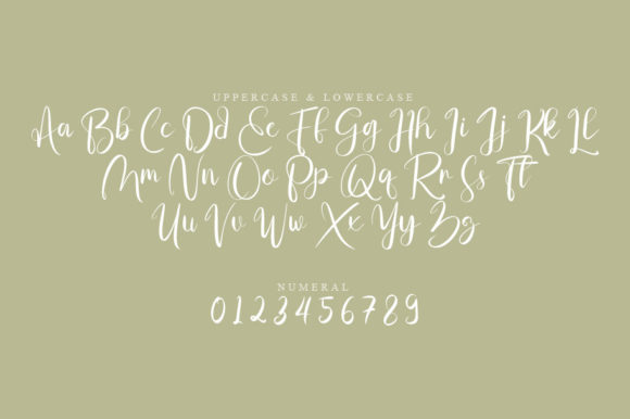Mefig Script Font Poster 2