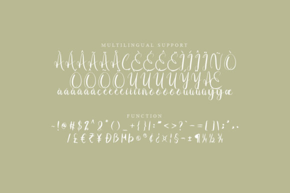 Mefig Script Font Poster 3