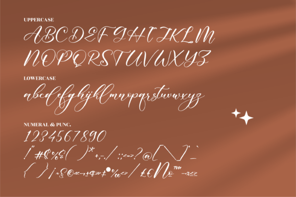 Meliya Font Poster 13