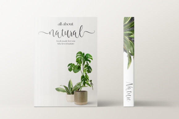 Merellian Font Poster 6