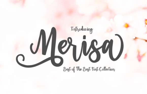 Merisa Font