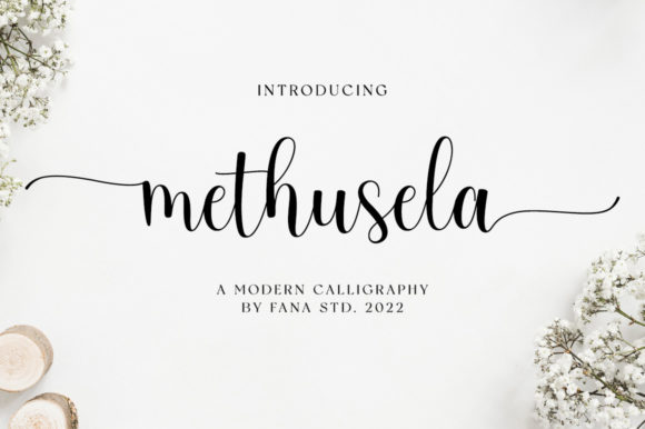 Methusela Font Poster 1