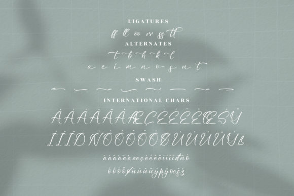 Mettafora Font Poster 14