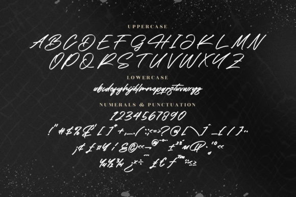 Michigan Dellaxe Font Poster 13