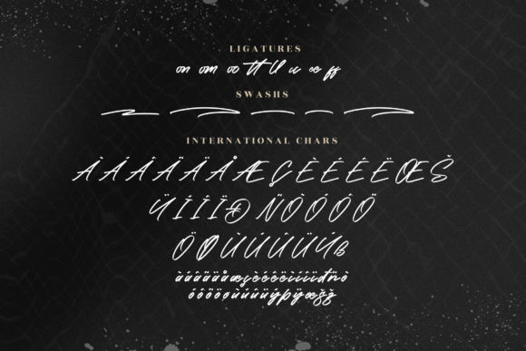 Michigan Dellaxe Font Poster 14