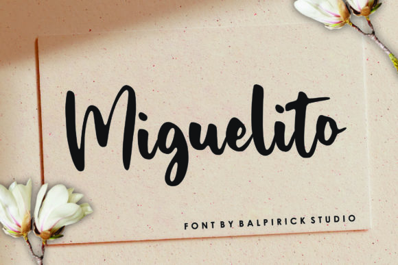 Miguelito Font Poster 1