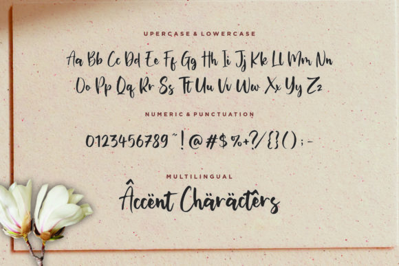 Miguelito Font Poster 6