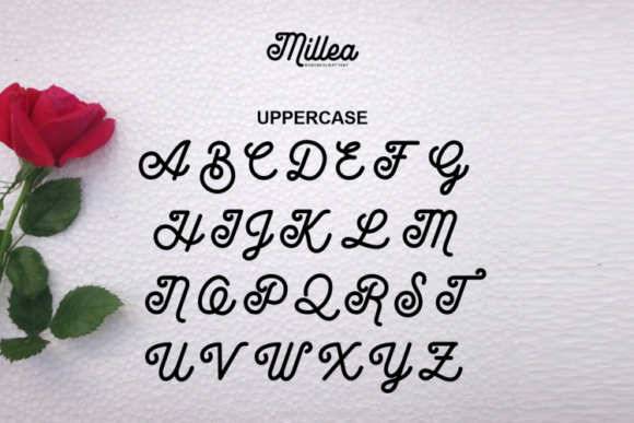 Millea Font Poster 7