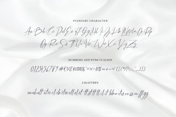 Missing Lauderdale Font Poster 3