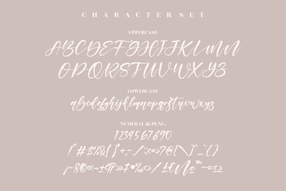 Mistical Winter Font Poster 13