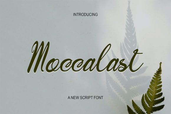 Moccalast Font Poster 2