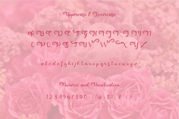 Moisley Font Poster 10