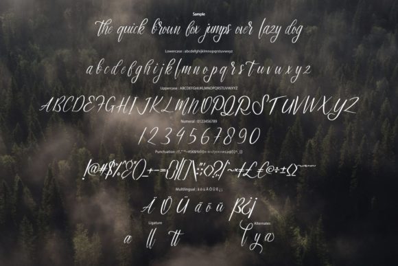 Montallio Font Poster 6