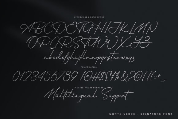 Monte Verde Font Poster 11