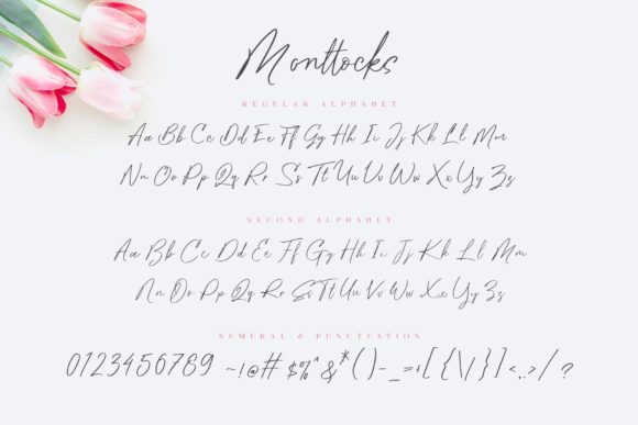 Monttocks Font Poster 5