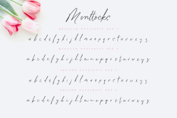 Monttocks Font Poster 6