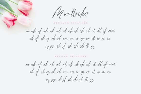 Monttocks Font Poster 8
