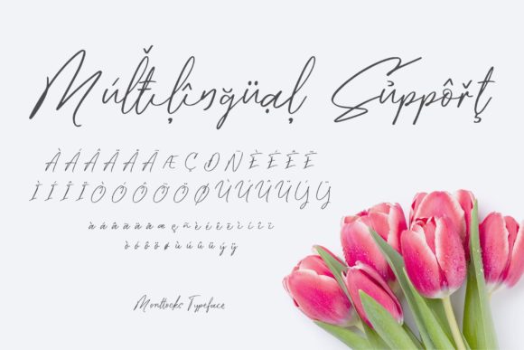 Monttocks Font Poster 10