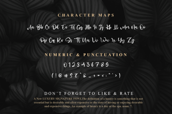 Moreen Maira Font Poster 8