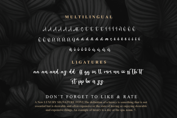 Moreen Maira Font Poster 9