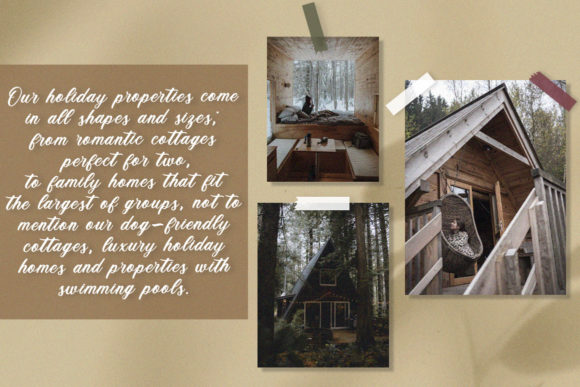 Morning Garden Font Poster 5