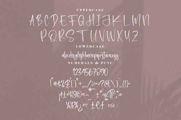 Mountain Moonlight Font Poster 13