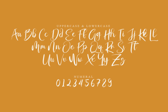 Mysil Script Font Poster 2
