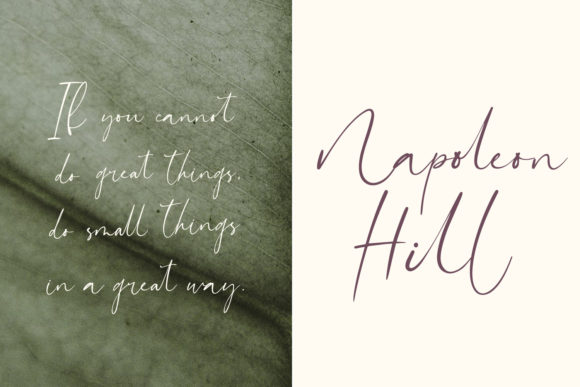 Nasilla Font Poster 6