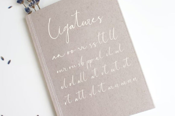 Nasilla Font Poster 9