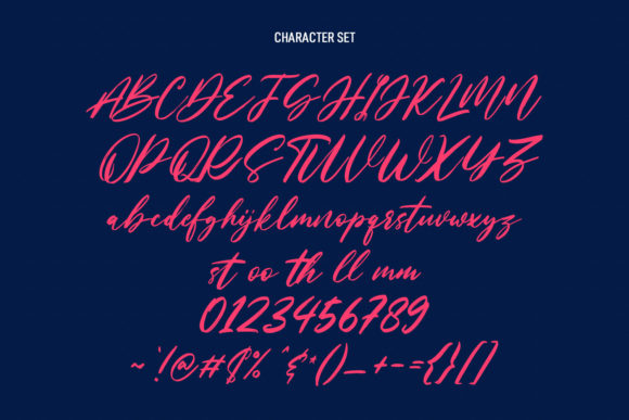 Nastyflashy Script Font Poster 8