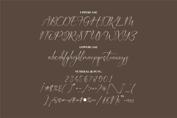 Nattasha Beautica Font Poster 13