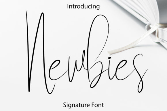 Newbies Font Poster 1