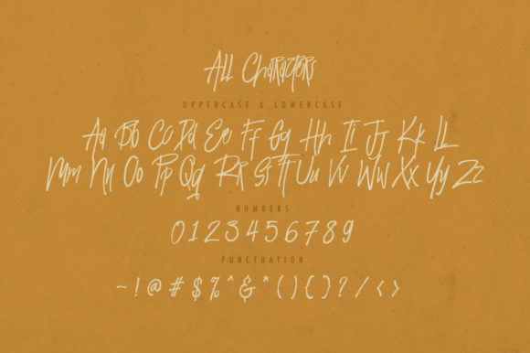 Newera Font Poster 5