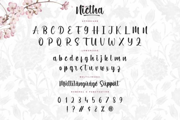 Nictha Font Poster 4
