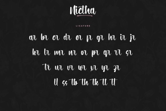 Nictha Font Poster 6