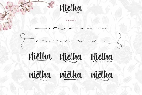 Nictha Font Poster 8