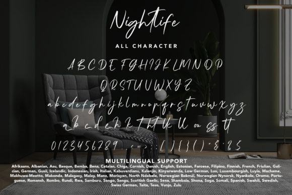 Nightlife Font Poster 8